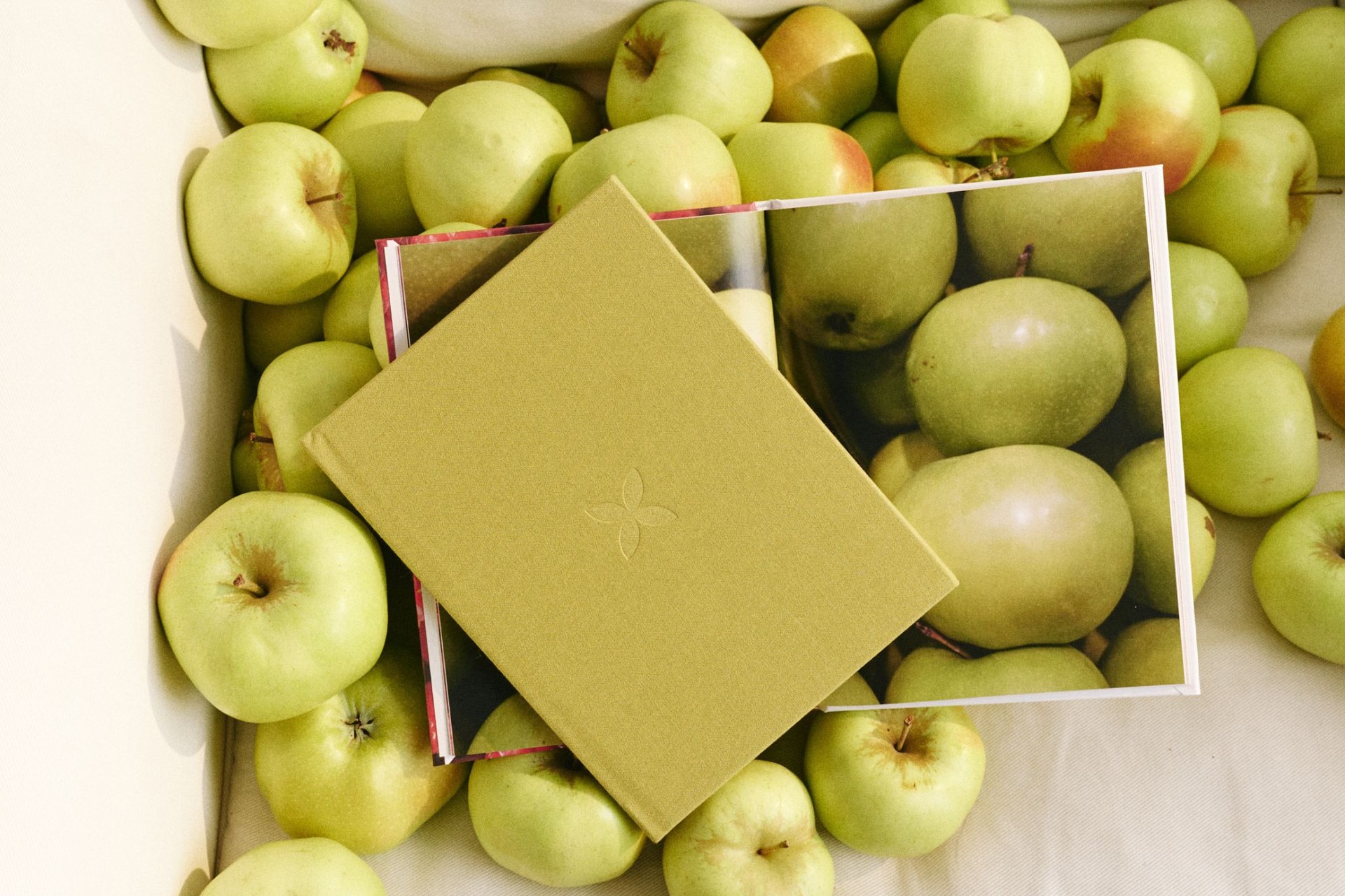 Минибук яблоко в тканевом переплете