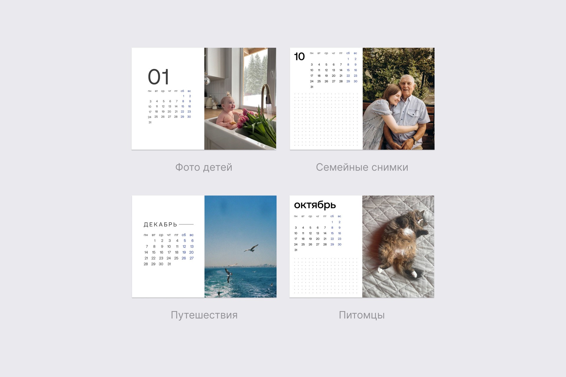 Сменный блок для подставки